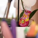 Miniaturansicht