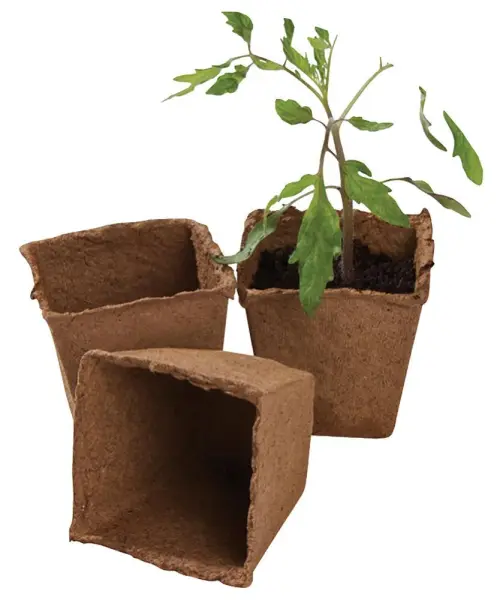 GARLAND Square Fibre Plant Pots - 6cm