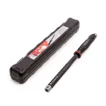 תמונת ממוזערת