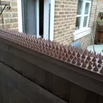 Miniature