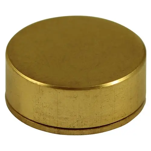 Timco Polished Brass Screw Caps, 12mm (4 Pack)