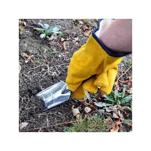 Kingfisher Pro Gold Herren Brombeer-Gartenhandschuhe