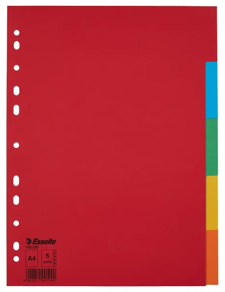ESSELTE A4 Cardboard File Dividers