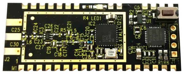C3-RF00797