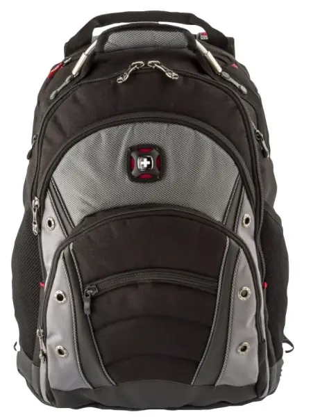 Synergy 16 Inch Laptop Backpack, Grey
