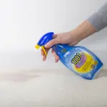 Miniature