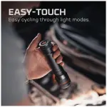 תמונת ממוזערת