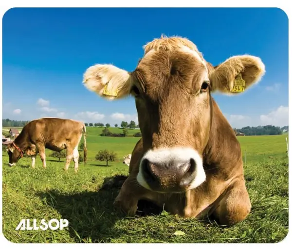 ALLSOP 들판의 소 마우스 패드