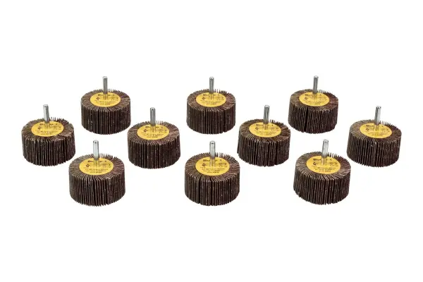 Blue Spot Tools 10-delige Flapwiel Set 60mm Korrel 80