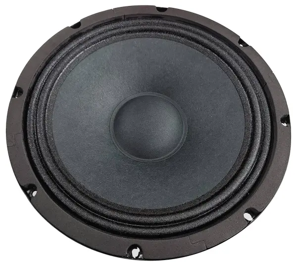 Citronic 10 inch Subwoofer Driver 300W RMS