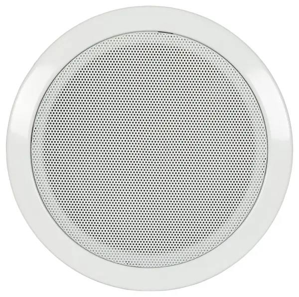 C3-LS06195