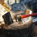 Μικρογραφία