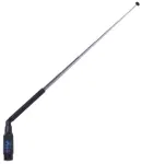 תמונת ממוזערת