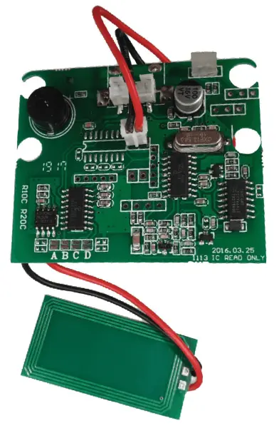 C3-RF00993
