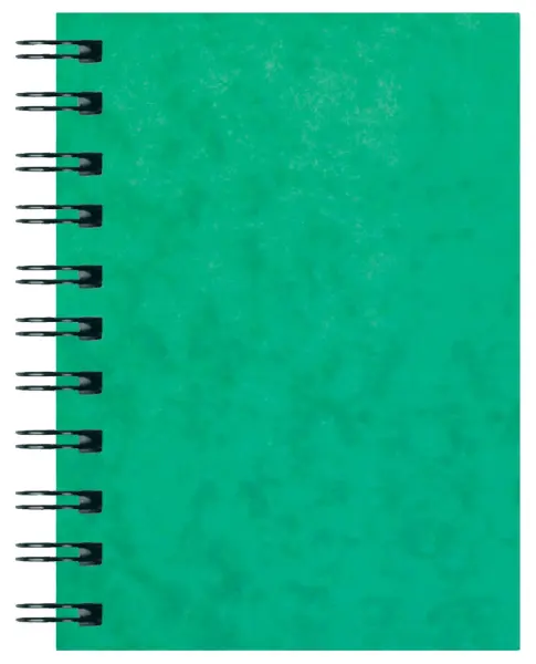 SILVINE A6 Spiral Notebook, 200 Pages, Green Pressboard