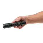 תמונת ממוזערת