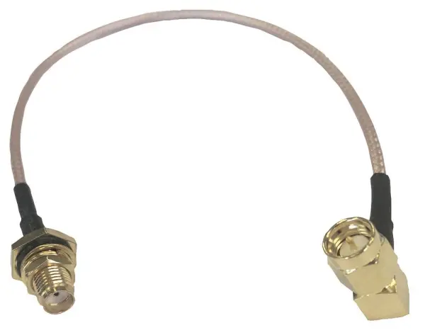 C3-RF00981