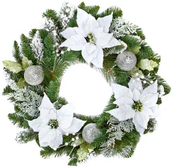 Premier זר פוינסטיה לבן-ירוק, 60 ס״מ