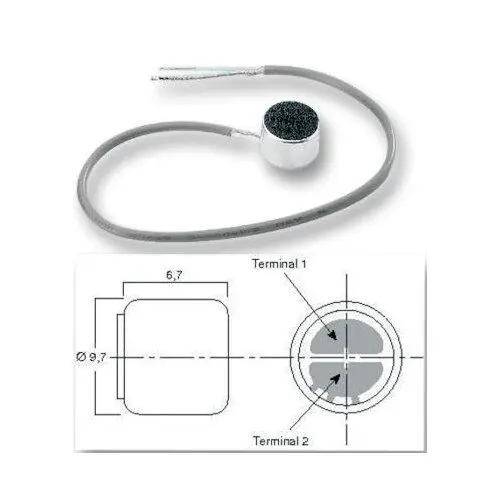 Raraion Omnidirectional Electret Microphone Cartridge