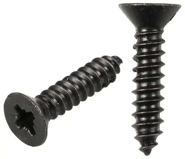C3-FN05969