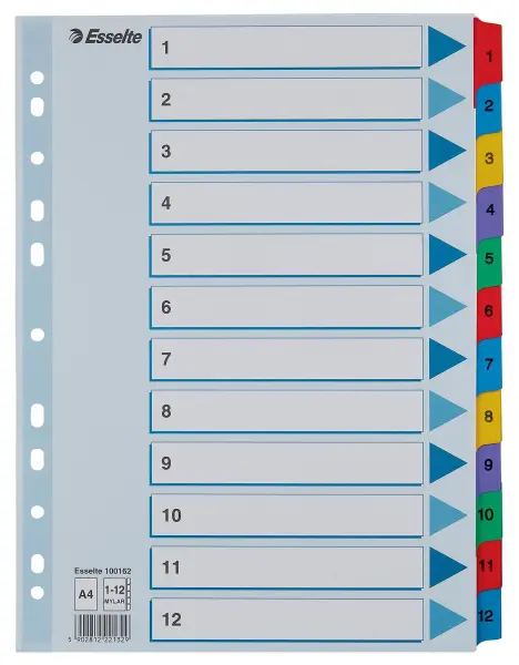 ESSELTE A4 Reinforced Index File Dividers with Mylar Tabs, 12 Pack