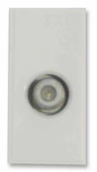 TRIAX Connecteur Euro Modulaire Simple Type F, Blanc