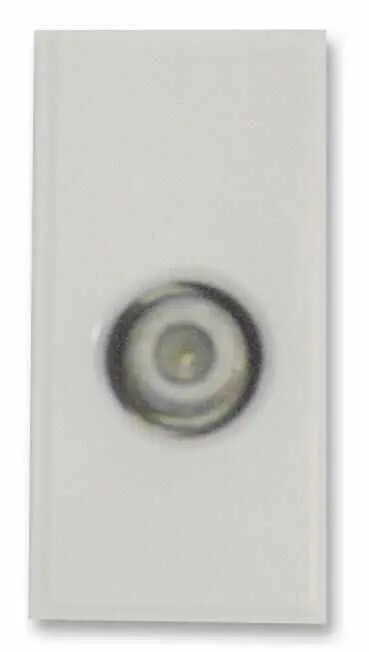 Connecteur F Type Euro Module simple TRIAX, Blanc