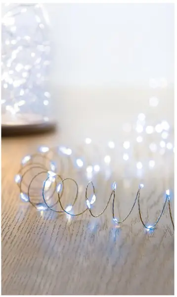 RARAION Timelights 50 LED Snoerlichtjes Draadverlichting, 2.45m, Wit