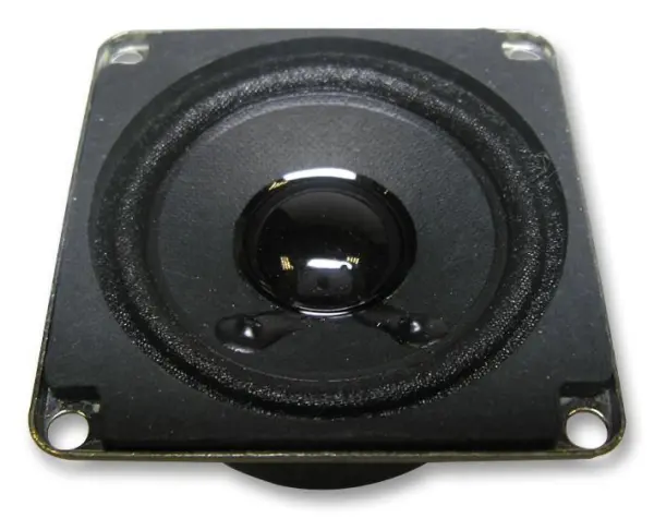 VISATON Haut-parleur large bande 2 pouces, 4 Ohms, 4W RMS