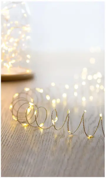 Raraion Timelights 50 LED Pin Wire Fairy Lights, Warm White, 2.45m