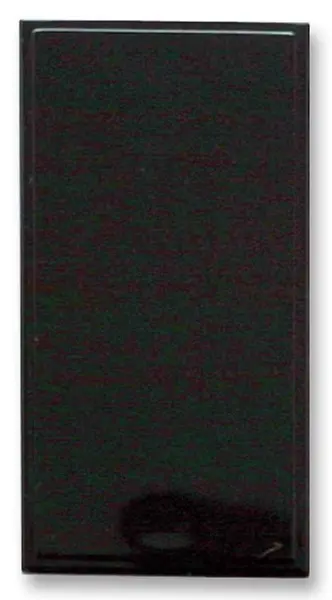 TRIAX מודול אירו ריק יחיד, שחור