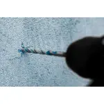 תמונת ממוזערת