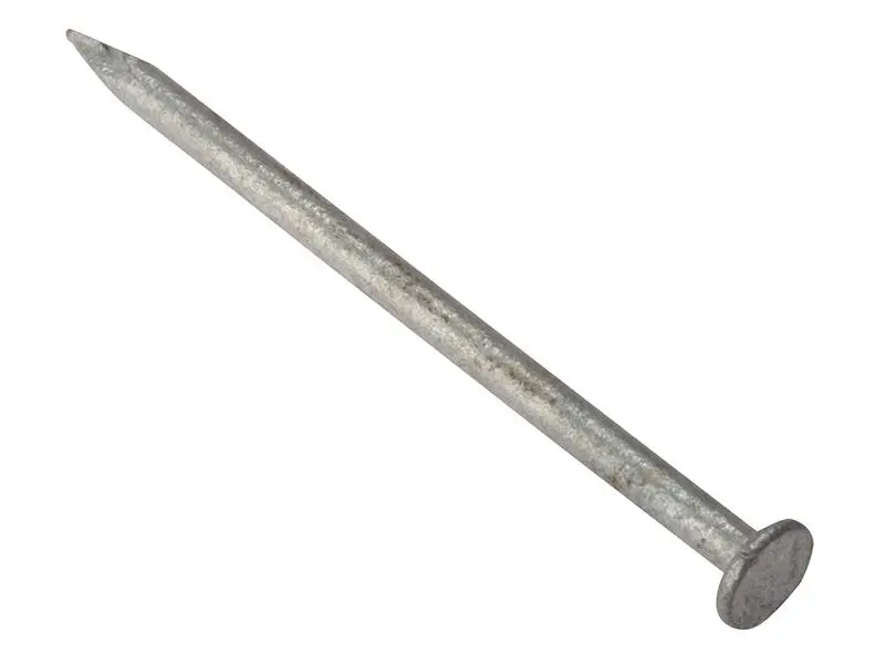 ForgeFix Pregos Galvanizados de Cabeça Redonda 125mm (500g)