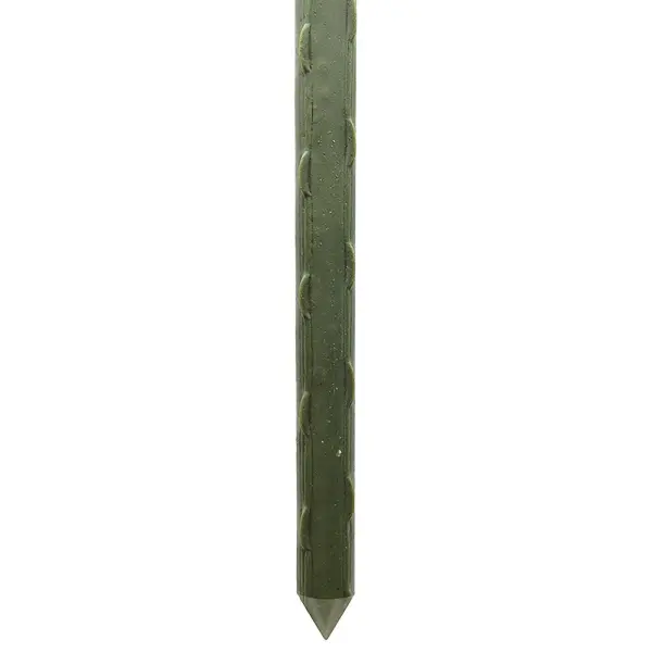 Grow It 90cm Garden Plant & Tree Stake, Green