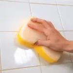 Μικρογραφία