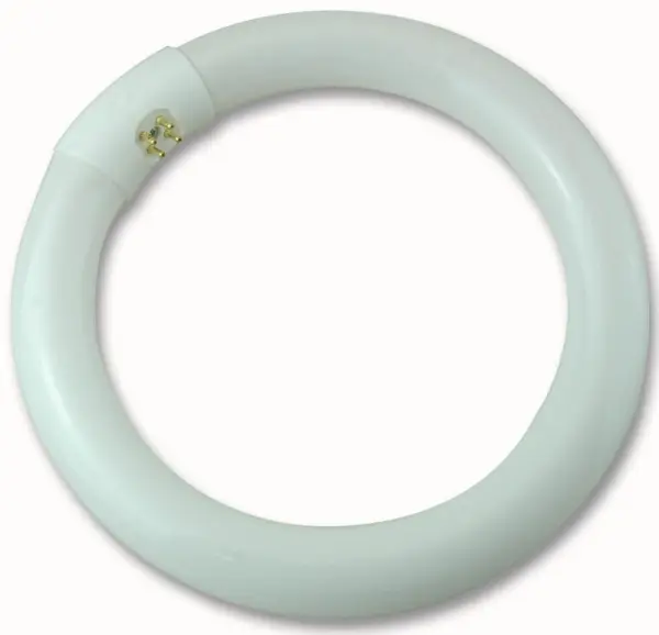 Crompton Lighting G10q 4 Pin Circular Fluorescent Tube Warm White - 22W 210mm