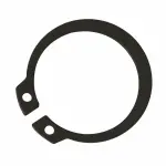 תמונת ממוזערת