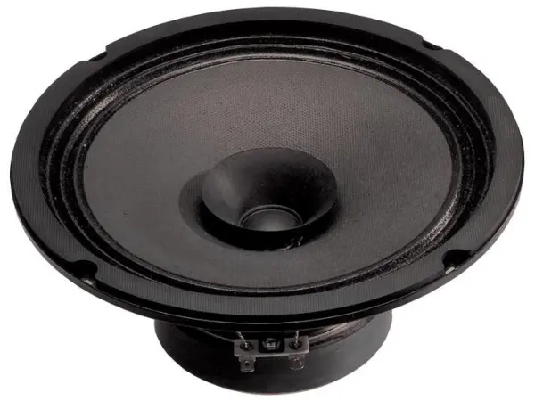 VISATON Haut-parleur Large Bande 8 Pouces, 8 Ohm, 40W RMS