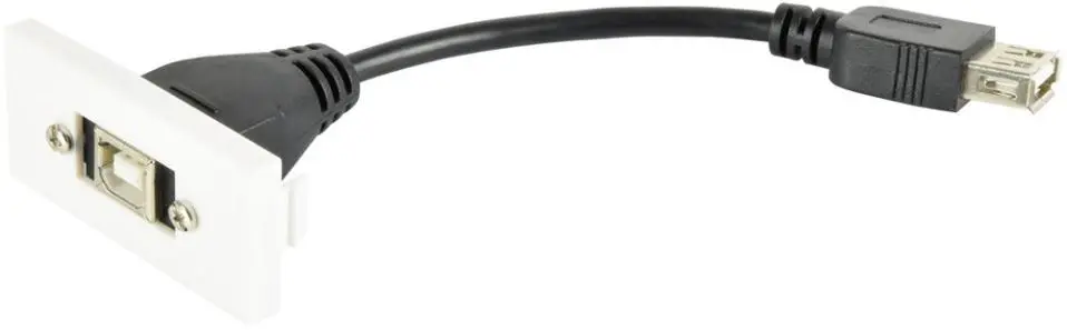 AV:LINK Módulo de Pared para USB 2.0 B, 50x25mm