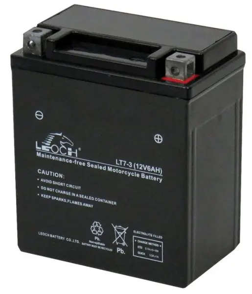 LEOCH 12V 6Ah Motorcycle Battery, Low Maintenance & Dry Charged