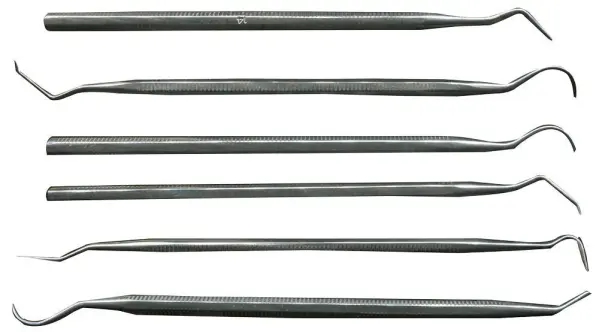 Raraion Stainless Steel Probes Set, 6 Piece