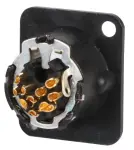 תמונת ממוזערת