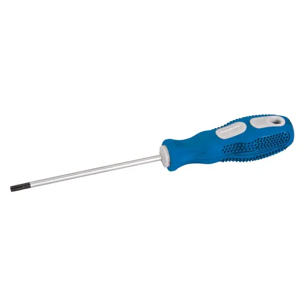 Silverline T20 x 100mm General Purpose Screwdriver