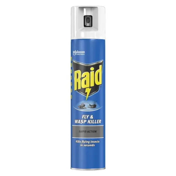 Raid Fly & Wasp Killer 300ml