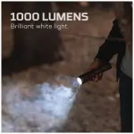 תמונת ממוזערת