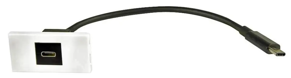 AV:LINK USB-C Socket Wall Plate Module, 50 x 25mm