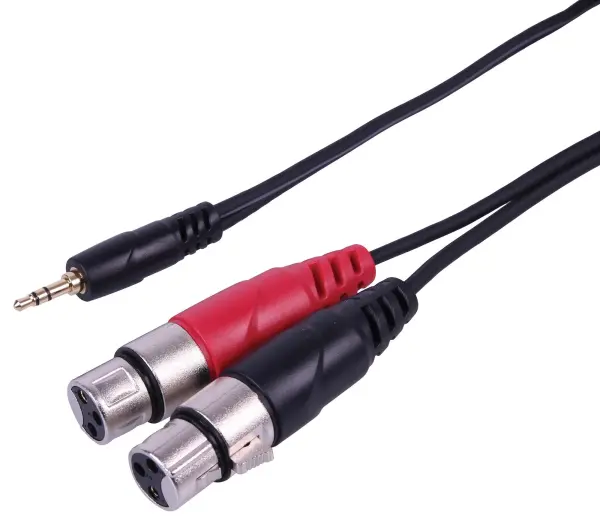 C3-DP36996