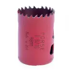 תמונת ממוזערת