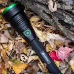 תמונת ממוזערת