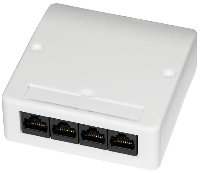 VIDEK Cat5e Plaque Frontale 4 Voies Verticale, Gamme 5506